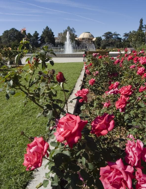 Desde 1928 es administrado por el Departamentos de Parques y Recreación de Los Ángeles.