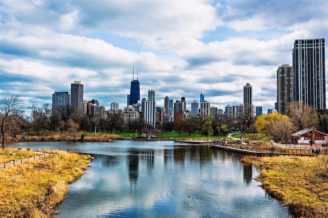 El Zoológico de Lincoln Park está ubicado en el vecindario de Lincoln Park cerca del centro de la ciudad y a la orilla del lago Michigan. Este es uno de los pocos zoológicos del país que aún ofrecen entrada gratis para residentes y turistas. Es hogar de más de 1.100 animales, entre ellos especies en peligro de extinción, y puede alardear de ser uno de los zoos más antiguos del país, así como de tener un importante programa de conservación y ciencia. Es un oasis de la naturaleza en medio de la ciudad y un gran plan para disfrutar con niños y en familia.