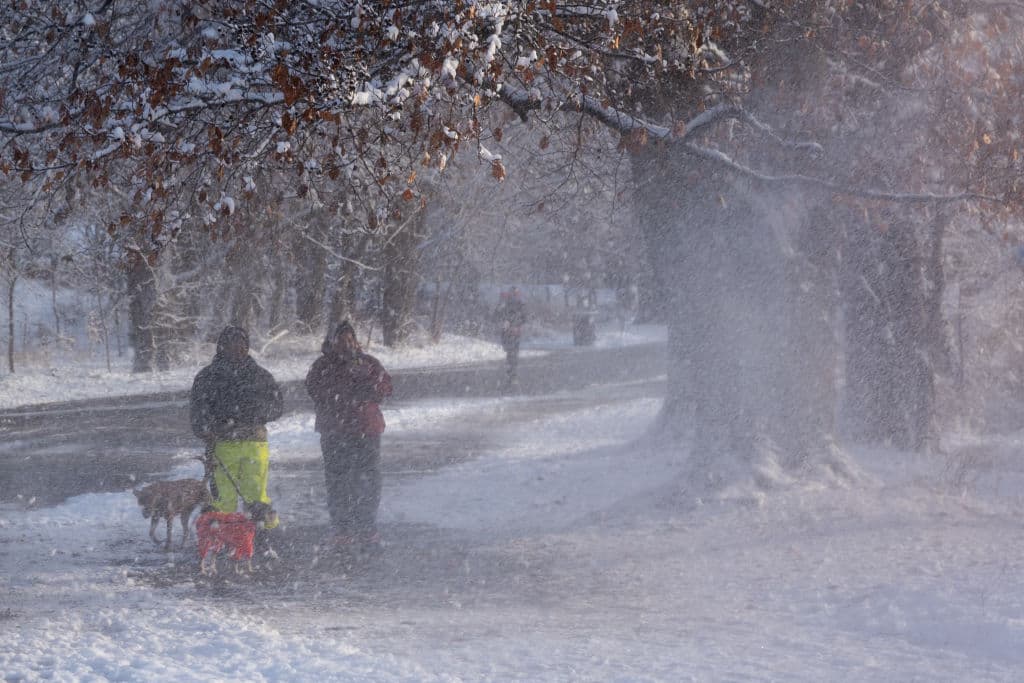 En Prospect Park,
<b> en Brooklyn</b>, el domingo 22 amaneció más frío, pero a las 11:00 de la mañana, el termómetro marcaba 
<b>20 grados Fahrenheit (-7 Celsius)</b>.