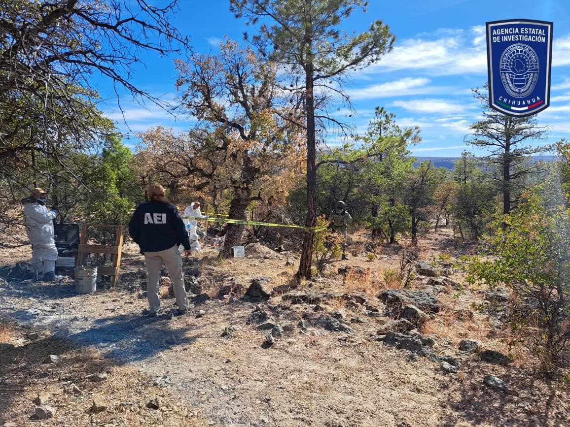 Violencia en México: hallan 56 cadáveres en fosas clandestinas en Chihuahua