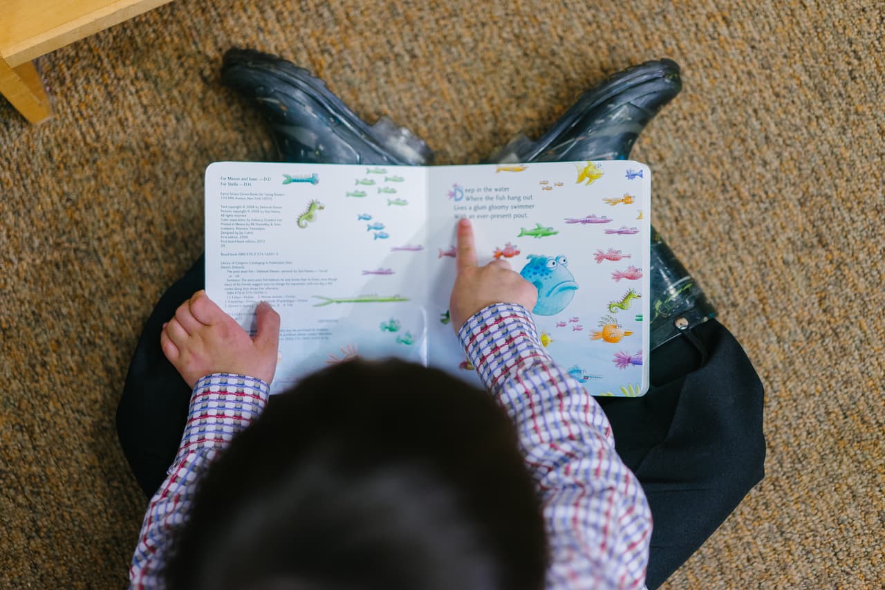 Cómo navegar por el sistema educativo de EEUU