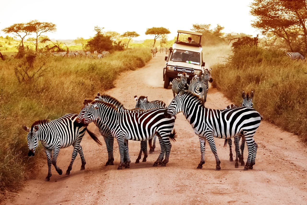<b>Tanzania.</b> La suspensión de los vuelos internacionales a fue suspendida en este país, según la embajada de los estadounidense. Los que viajen a este paraíso africano solo deben completar un formulario de vigilancia de salud antes de aterrizar. El 26 de junio este país comenzó a promover la vista de turistas como un destino seguro para la salud.