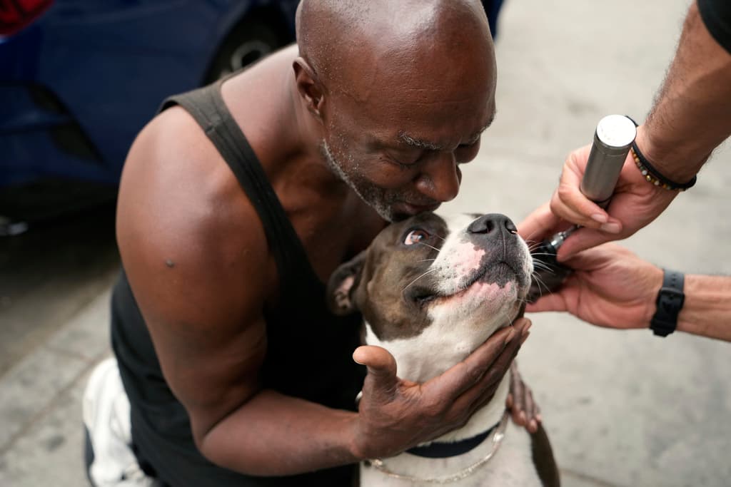 A la hora de recibir atención, las mascotas y sus mejores amigos, como es en este caso 'Big Mike', colaboran con el veterinario Stewart para descartar cualquier riesgo.