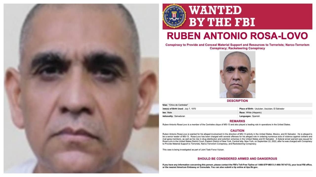 <b>Ruben Antonio Rosa-Lovo </b>
<br>Salvadoreño, de 52 años. Llamado también el “Chivo de Centrales”, por su participación en la agrupación ‘Centrales’ de la MS-13, 
<b>es uno de los directores principales de esa pandilla</b> en tres países: El Salvador, EE.UU y México. Es considerado alguien muy peligroso, según el FBI. 
<br>