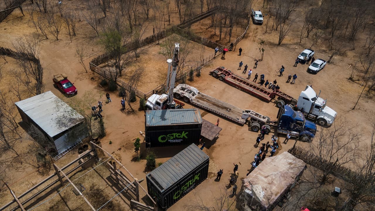 Jóvenes acuden a una supuesta entrevista laboral y aseguran terminar en un narcocampamento en Sinaloa