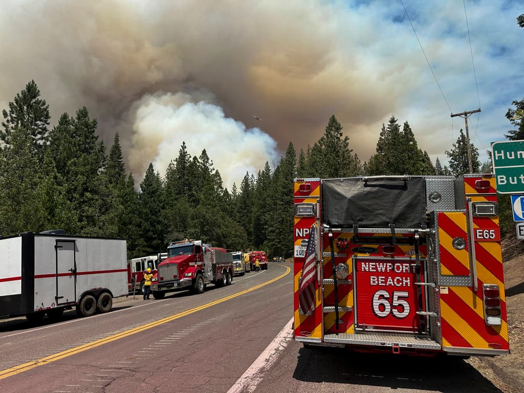 En extensión, el incendio Park es un poco más grande que la 
<b><a href="https://www.univision.com/local/los-angeles-kmex/incendio-forestal-los-angeles-areas-alerta" target="_blank">ciudad de Los Ángeles</a></b> y 
<b>12 veces más grande</b> que el condado de 
<b>San Francisco</b>.
