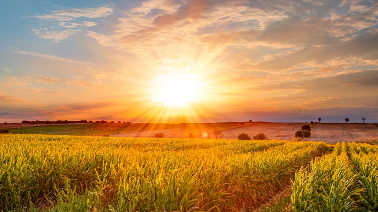 <h3 class="cms-H3-H3">¿Cómo aprovechar el inicio del verano?</h3>
<br>El solsticio también es un buen momento para reconectar con la naturaleza y tu rutina:
<br>
<b>Observa el atardecer más largo del año:</b> en Dallas, el sol se pondrá ese día a las 8:39 p.m.
<br>Si sales con tu familia, 
<b>busca sombra, bloqueador solar y mantente hidratado</b>.
<br>Revisa el estado del tiempo local y 
<b>las recomendaciones de salud pública</b>.
