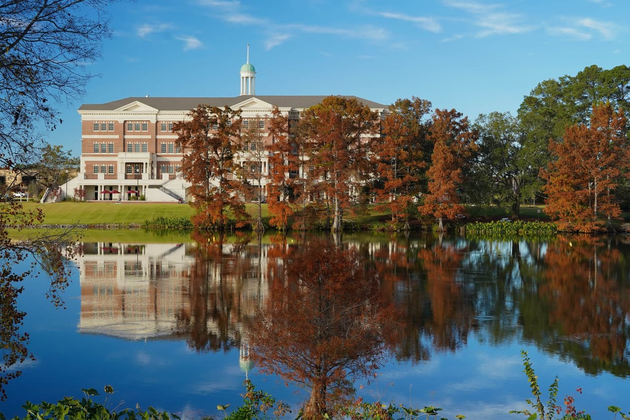 <h3 class="cms-H3-H3">3. Monroe, Louisiana</h3>
<br>
<br>💵
<b> Tasa de pobreza concentrada: </b>38.4%
<br>
<br>💵 
<b>Tasa de pobreza en general: </b>23.4%
<br>
<br>💵 
<b>Barrios en extrema pobreza: </b>13 de 59.
<br>
<br>💵 
<b>Ingreso promedio por hogar:</b> $31,202 en barrios pobres, $69,834 en el resto.
<br>