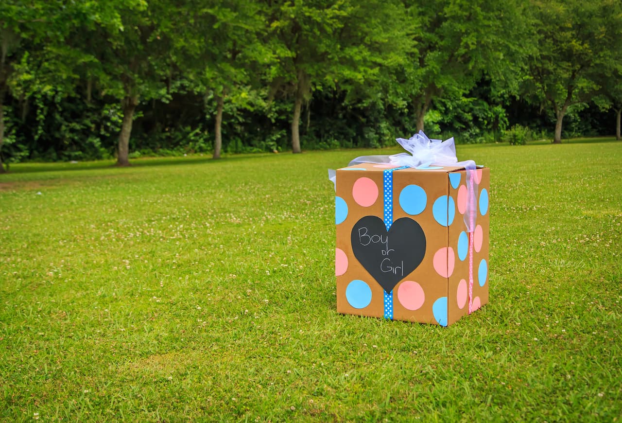 The Ultimate Gender Reveal Guide: Fun Ways to Celebrate Your Baby's Gender