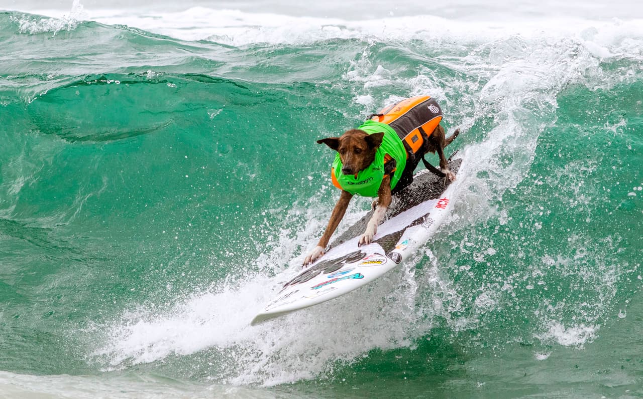 "Este es el lugar para demostrar que tienes lo que se necesita para convertirte en un campeón de surf", concluyó la productora del evento.
<br>