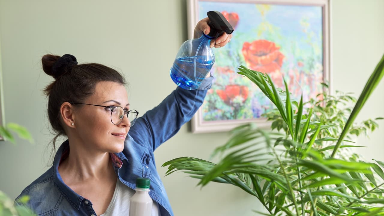 Haz este fertilizante casero y tus plantas sobrevivirán al frío