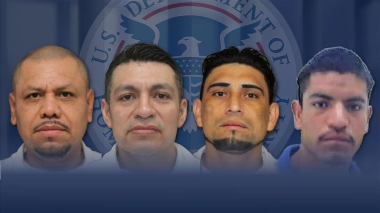 ICE Houston arresta a más de 200 inmigrantes indocumentados vinculados a delitos sexuales contra niños