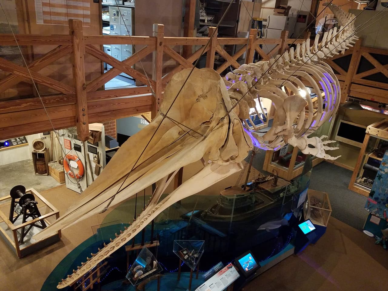<b><a href="https://ncmaritimemuseumbeaufort.com/" target="_blank">North Carolina Maritime Museum (Beaufort)</a></b>. Exhibiendo artefactos del barco de Barbanegra, esta es una parada perfecta para cualquier amante de los piratas. El museo adquiere un toque original en su exhibición de un corazón preservado de un cachalote cuyo esqueleto cuelga del techo.