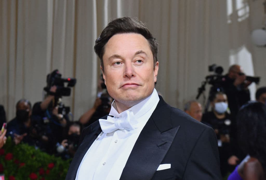 Elon Musk (2022)