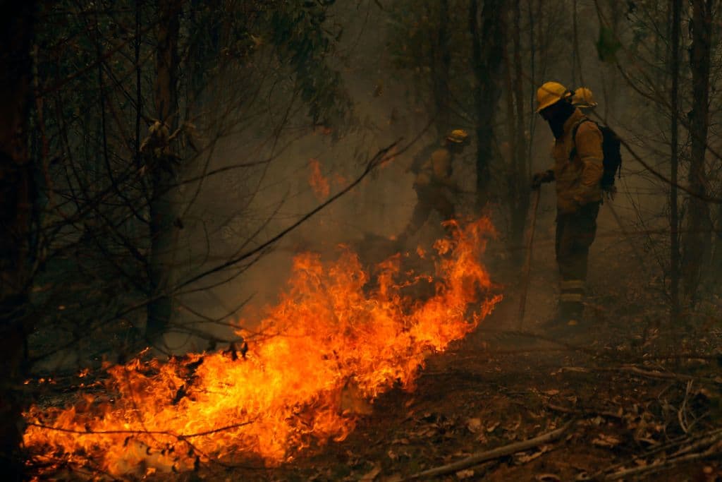 Monsalve explicó que de 
<b>232 incendios activos el sábado</b>, 83 están combate. De esa cifra, 76 comenzaron el viernes, 16 el sábado.