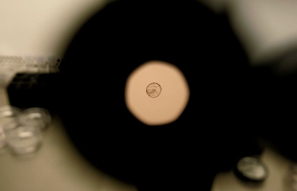 Madre asegura que dio a luz a bebés de desconocidos y culpa a una clínica de fecundación 'in vitro'