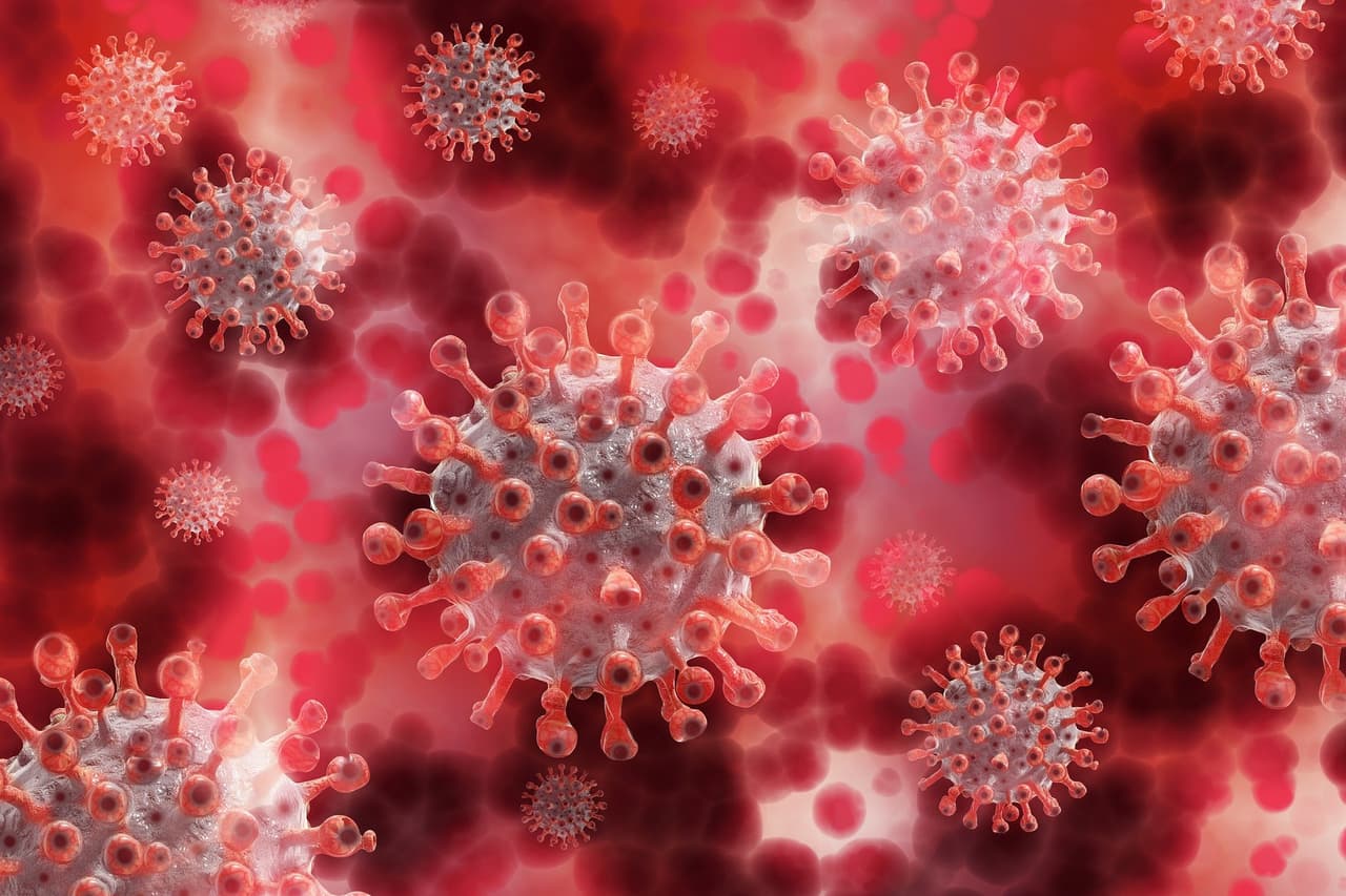 Sin embargo, los 
<a href="https://covid.cdc.gov/covid-data-tracker/#variant-proportions" target="_blank">Centros para el Control y la Prevención de Enfermedades</a>, Rochelle Walensky, dijo el martes que la variante Delta representaba el 83 por ciento de todos los casos actuales de covid-19 en los EEUU.