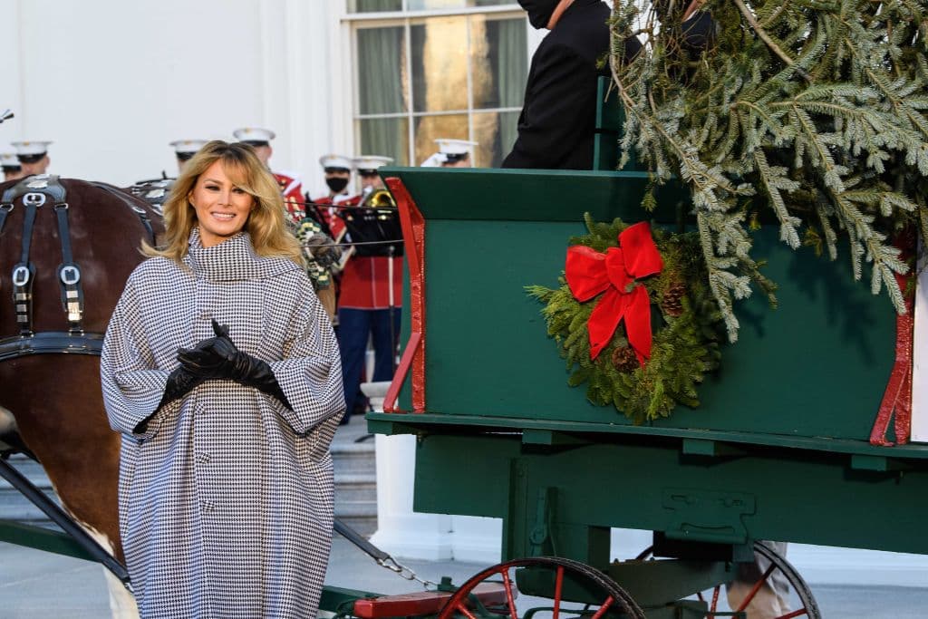 El árbol de Navidad 2020 es un abeto Fraser de 18 ½ pies de West Virginia. Servirá como pieza central para la decoración navideña en el Salón Azul de la Casa Blanca.