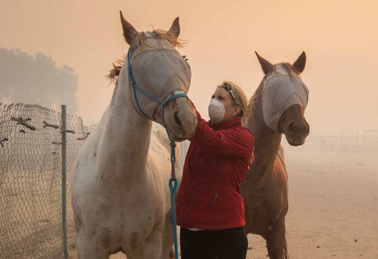 En el sur de California, el incendio Easy provocó una emergencia similar en Simi Valley. Las llamas alimentadas por los fuertes vientos amenazaron varios establos.