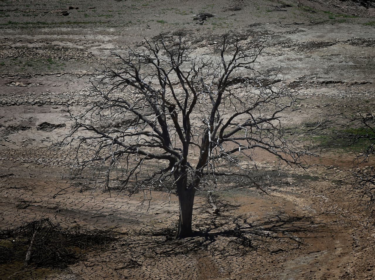 Suelos sobre explotados y la falta de lluvias tienen a California bajo un 95% de sequía 