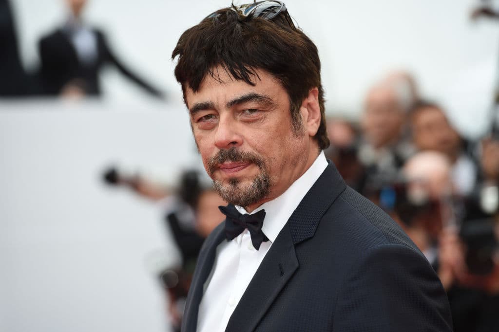 <b>Benicio del Toro </b>
<br>Es un actor y productor puertorriqueño, con múltiples premios en su carrera, como el Oscar, el Golden Globe y el Bafta, todos ellos conseguidos en la categoría de Mejor Actor de Reparto en la película 'Traffic'.