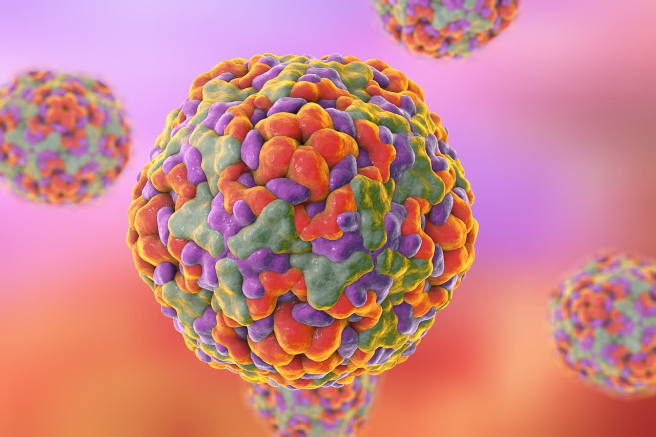 El virus de la polio entra en el organismo a través de la boca, generalmente cuando las manos se han contaminado con las heces de una persona infectada.