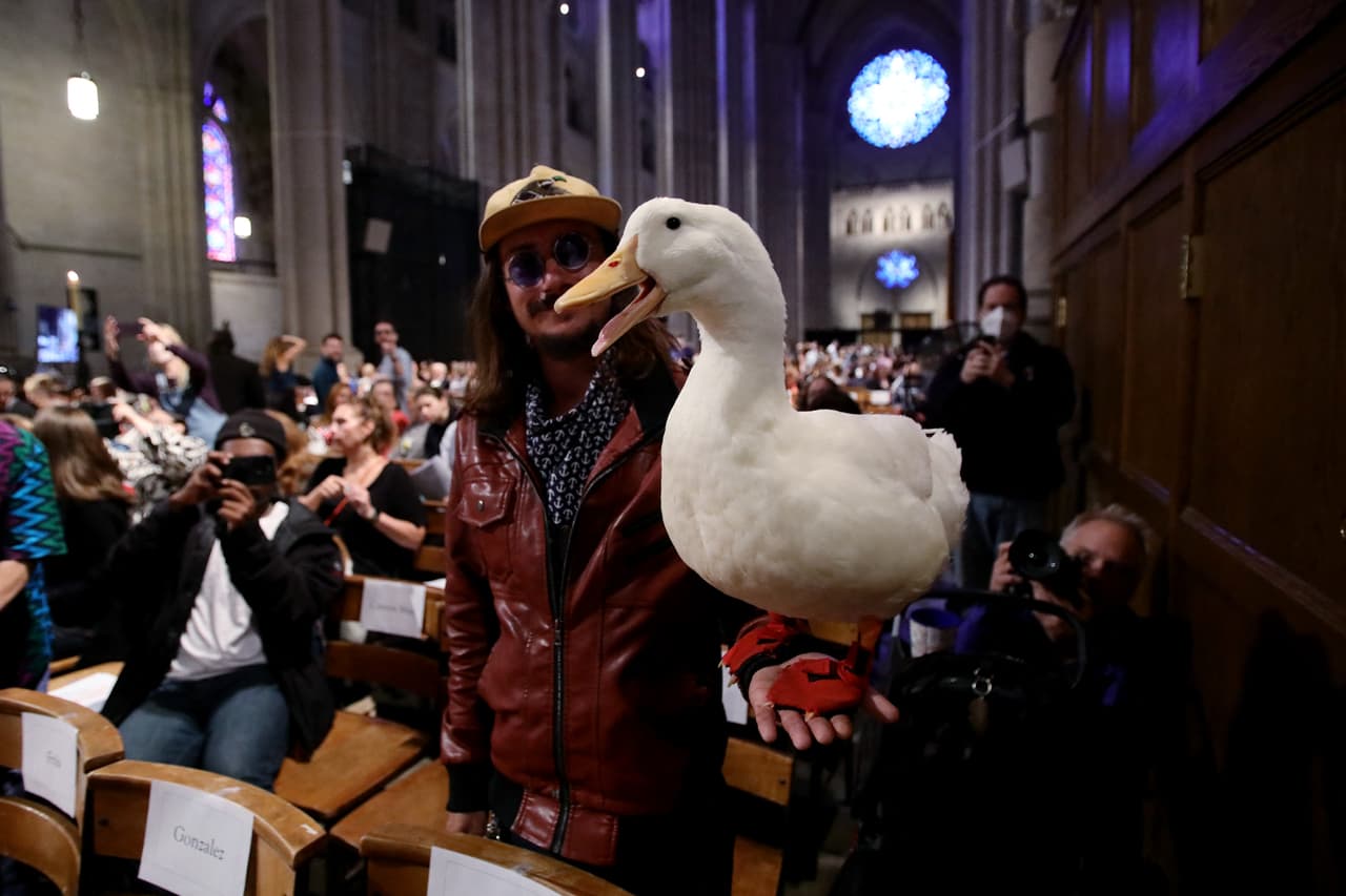 Este pato es una de las mascotas que fue bendecida.