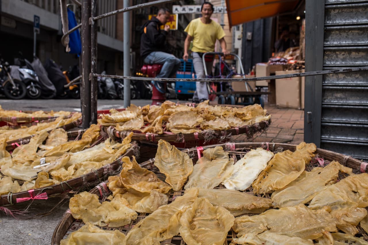 Cada kilo de este buche de totoaba, refieren autoridades, está valuado en unos 60,000 dólares en el mercado negro chino.