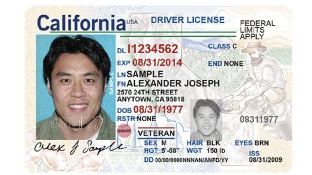 <b>¿Soy indocumentado, podré viajar en avión sin un Real ID a partir de mayo 2023?</b>
<br>
<br>Si, a partir de mayo de 2023, los 
<a href="https://www.univision.com/local/los-angeles-kmex/licencia-conducir-indocumentados-dmv-california-fotos" target="_blank">inmigrantse indocumentados</a>, tendrás que presentar el pasaporte de tu país de origen y la licencia de conducir del estado en el que vive detro de EEUU, para viajar en avión dentro del país.
<br>
