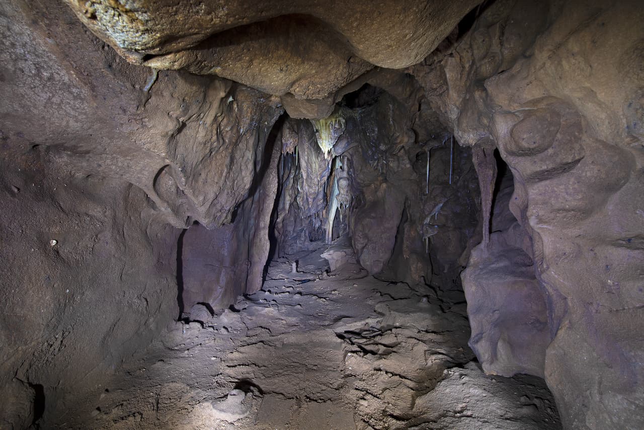 Abren la cámara de una cueva que estuvo sellada por 40,000 años: qué hallaron dentro
