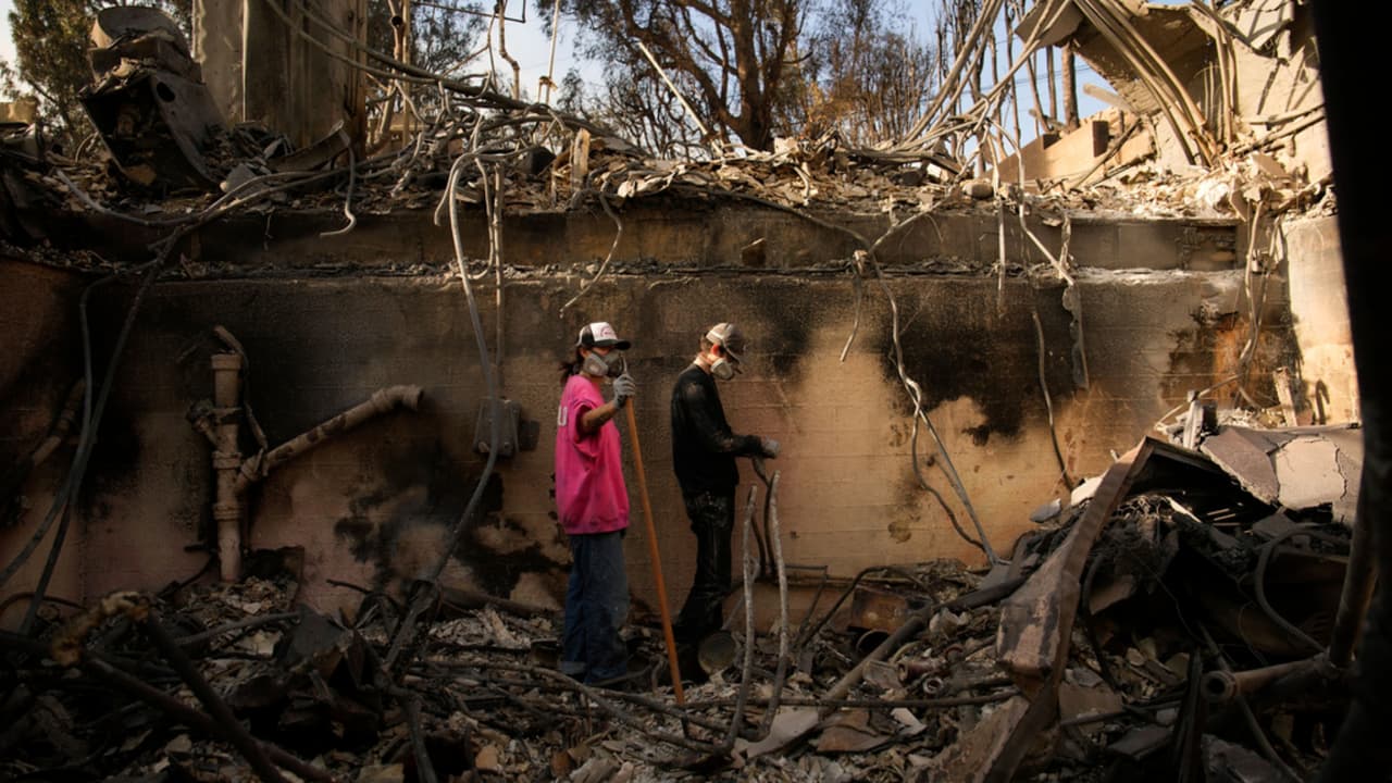 Propietarios de negocios buscan ayuda tras perderlo todo en los incendios: ¿cuáles hay disponibles?