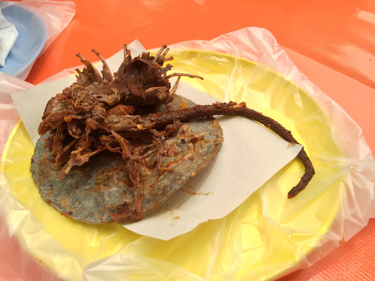 Tacos de zorrillo