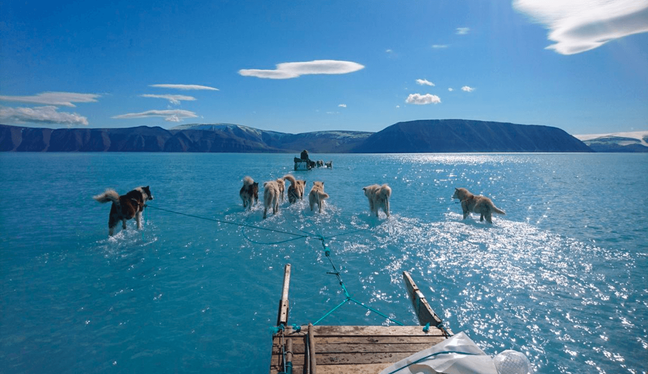 La impactante foto de huskies siberianos que revela el drástico deshielo en Groenlandia