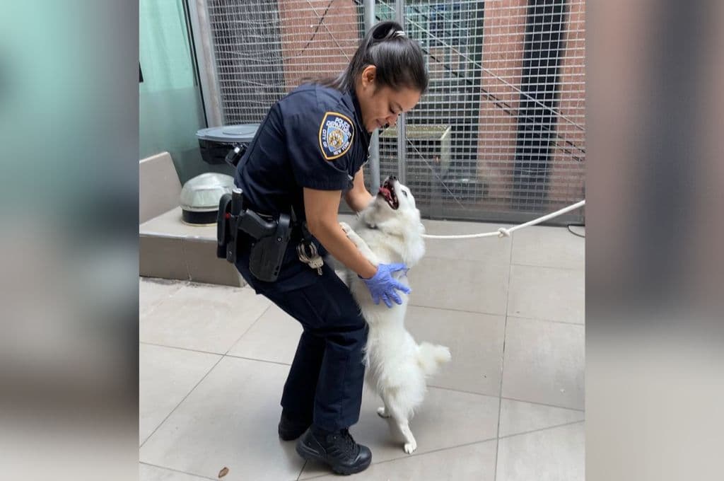 Mujer policía adopta a perro que había rescatado de un auto a altas temperaturas