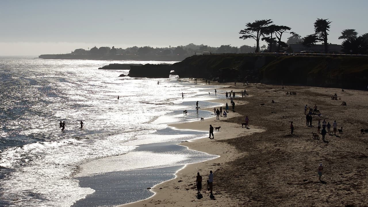 <b>Las playas del condado de </b>
<a href="http://www.cityofsantacruz.com/government/city-departments/parks-recreation/parks-beaches-open-spaces/beaches-aquatics" target="_blank">Santa Cruz </a>permanecen cerradas de lunes a domingo entre las 11 am y las 5 pm. Durante este horario, se permite la práctica de deportes acuáticos y las personas pueden cruzar la playa para acceder y salir del mar.
<br>
<br>Antes de las 11 am y después de las 5 pm, las actividades permitidas son correr, caminar, practicar deportes acuáticos. 
<b>Se prohíben todas las demás actividades que no sean de ejercicio, pasivas o sedentarias en las playa, así como las sombrillas, las parrillas y las sillas de playa.</b>