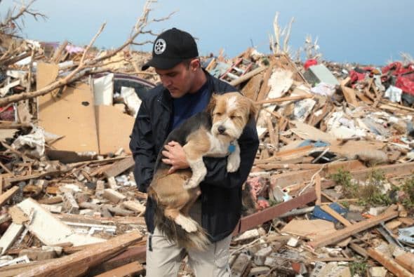 “Se trata simplemente de tratar de recuperar los perros y gatos perdidos o aquellos que han fallecido, dar un pequeño cierre a la familia”, dijo el representante estatal John Kavanagh, republicano de Fountain Hills, durante una reunión legislativa el mes pasado.