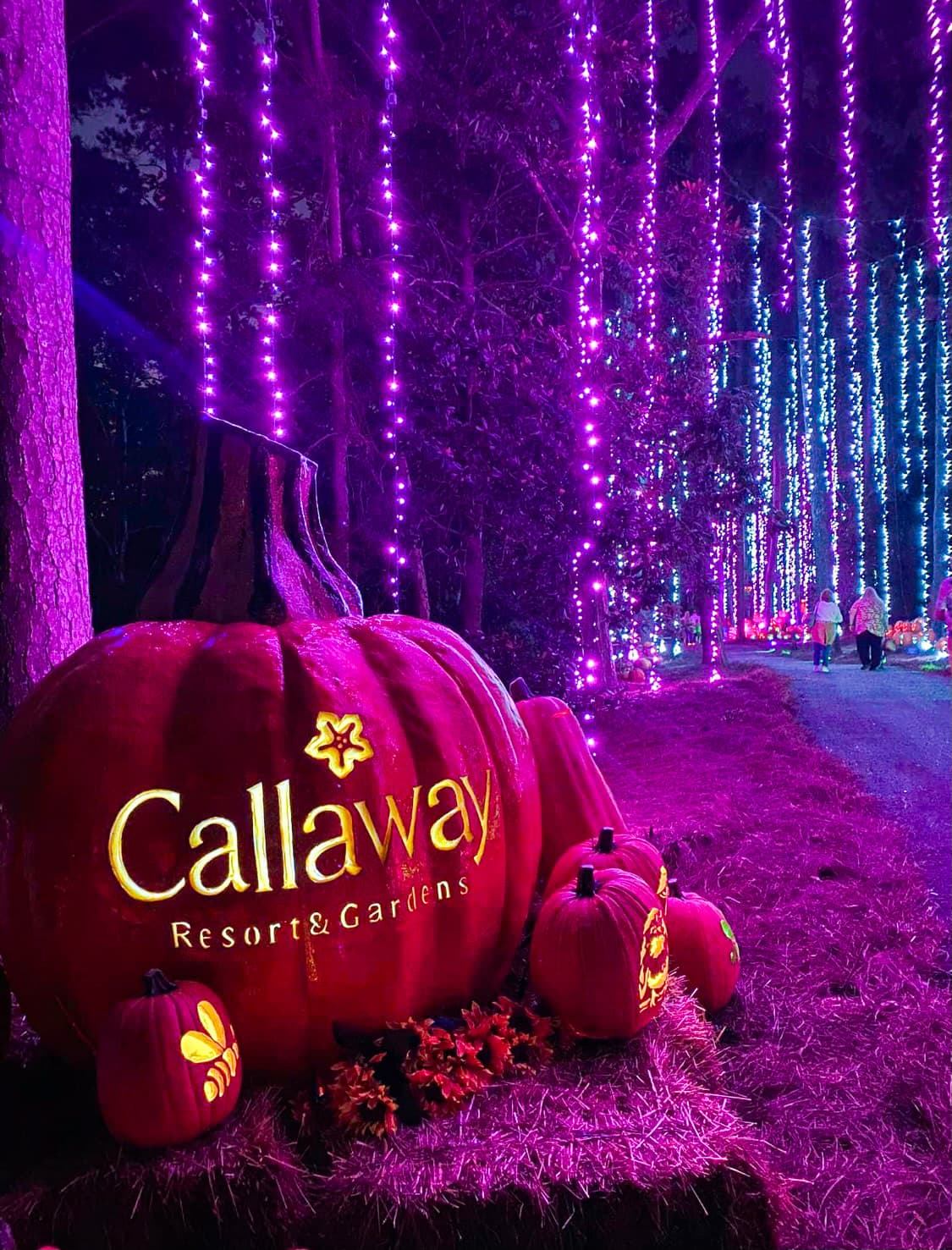 <b>Fantasy in Lights – Pine Mountain</b>
<br>
<b>Fechas</b>: 17 de noviembre al 1 de enero de 2024
<br>
<b>Lugar</b>: Callaway Gardens. 17800 U.S. 27. Pine Mountain, GA
<br>
<b>Sitio web</b>: 
<a href="https://www.callawaygardens.com/the-gardens/events/fantasy-in-lights/">https://www.callawaygardens.com/the-gardens/events/fantasy-in-lights/</a> 
<br>
<br>El espectáculo navideño incluye un recorrido panorámico de siete millas con 17 escenas brillantemente iluminadas con un bosque de luces parpadeantes, copos de nieve gigantes y más.