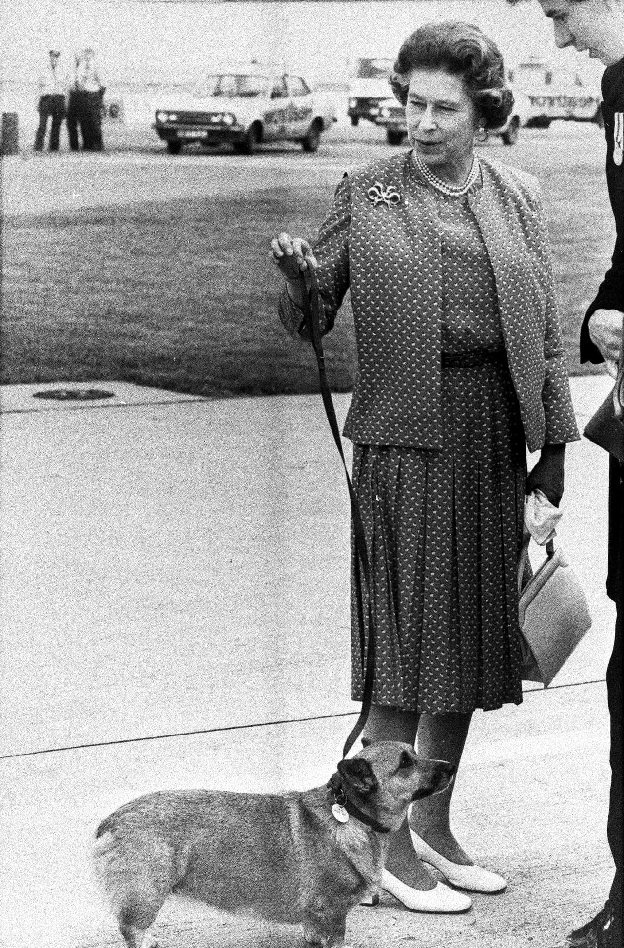 Cuando tenía 18 años, Isabel II recibió otro corgi como obsequio: una hembra a la que llamó Susan. Más tarde hubo dorgis, un cruce de dachshund y corgi, propiedad de la reina. Eventualmente llegaron a acompañarla en apariciones públicas y se convirtieron en parte de su personalidad, como aparece en esta foto sin fechar de la agencia AP.