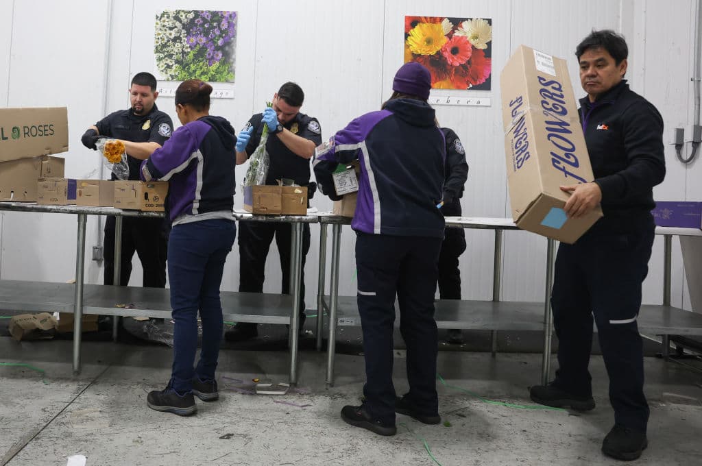 Miles de personas forman parte del equipo que se encarga del proceso de revisión.
