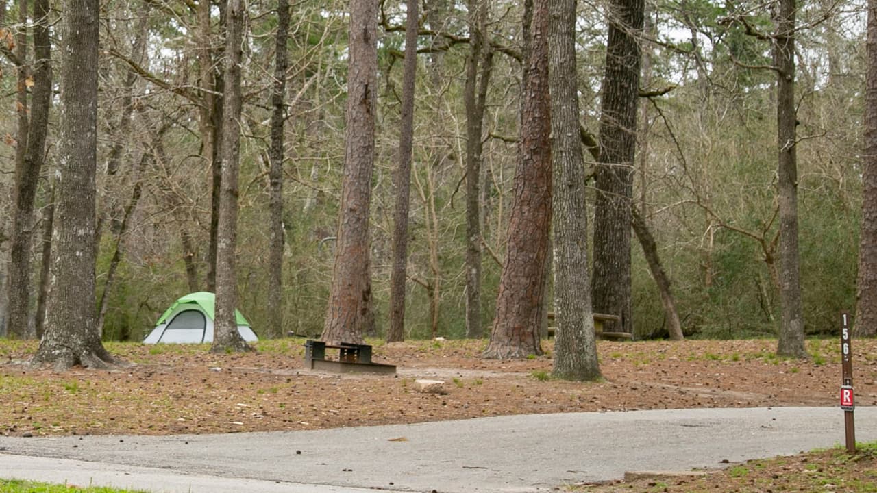 Puede alquilar refugios con mosquitero, con comodidades o eligir entre 160 sitios para acampar. También puede rentar el pabellón o salón para grupos en su próxima reunión.