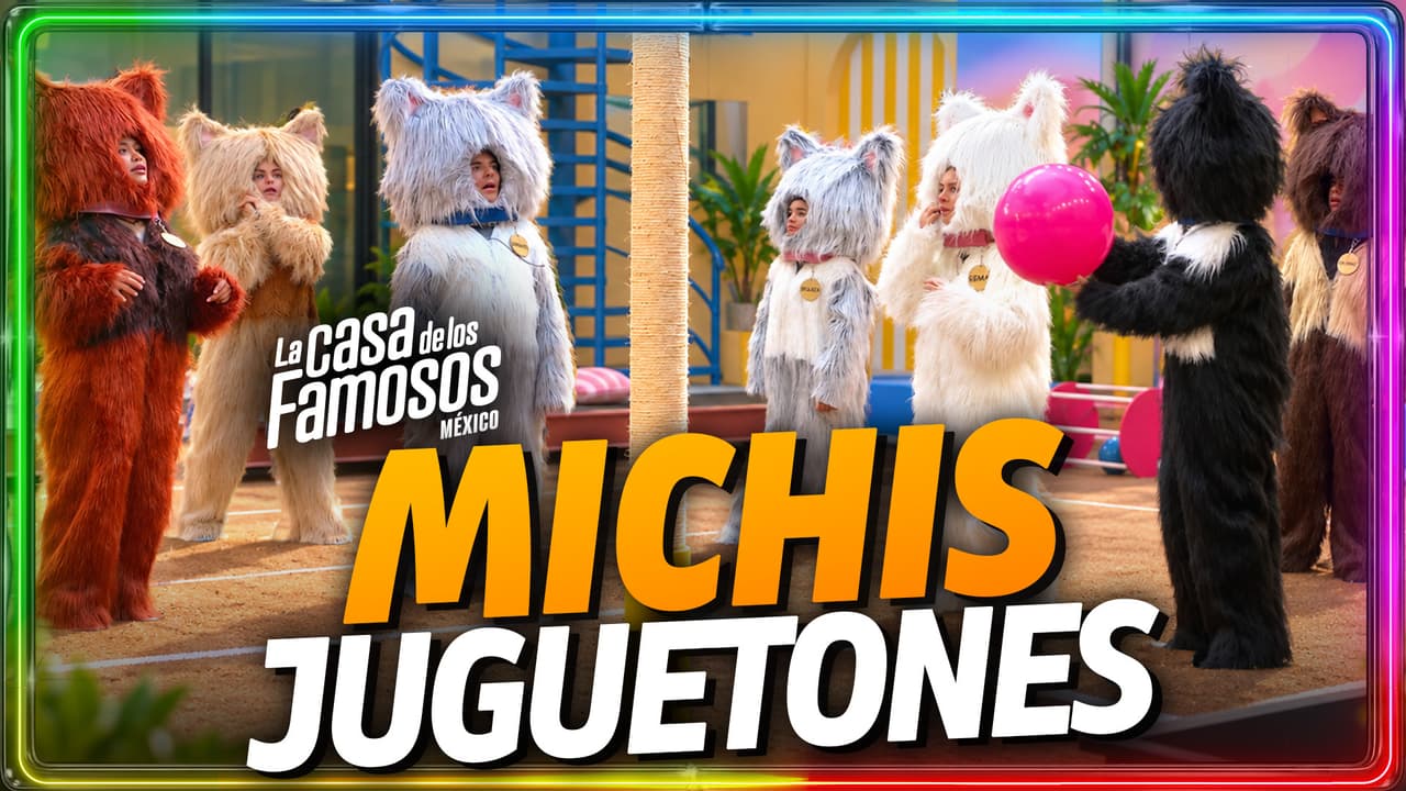 Los MICHIS salieron a JUGAR al jardín de La Casa