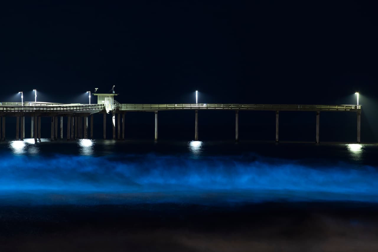 La bioluminiscencia es un fenómeno causado por ciertos tipos de fitoplancton asociado con la marea roja que por la noche generan un pulso de luz azul cuando las olas chocan. "Los fitoplancton son plantas (o algas) microscópicas y unicelulares que crecen naturalmente en nuestras aguas costeras", según 
<a href="https://caseagrant.ucsd.edu/our-work/recursos/mareas-rojas-en-california" target="_blank">Sea Grant de la Universidad de California San Diego (UCSD)</a>.