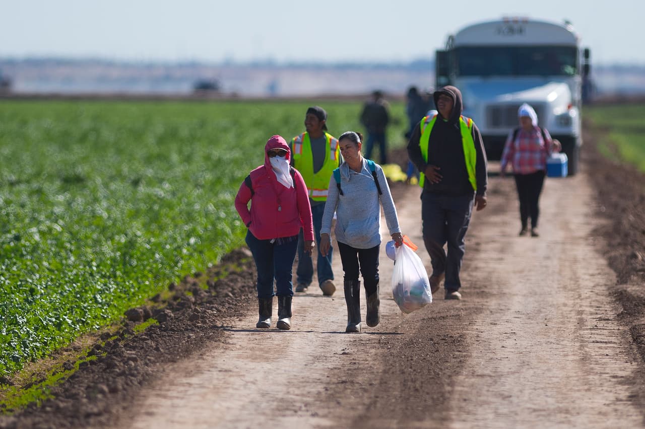 <b>¿Puedo aplicar si soy indocumentado?</b>
<br>
<b>Todas las personas pueden aplicar sin importar su estatus migratorio</b>. El HACLA informó que todas las personas pueden participar en la lotería de la Sección 8, esta “no se considera una carga pública y no afectará sus solicitudes de inmigración”.
