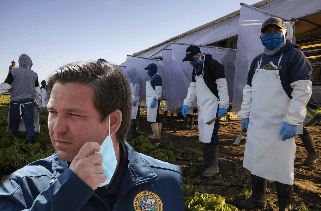 Ron DeSantis culpa a jornaleros hispanos del repunte de casos positivos de coronavirus en Florida 
