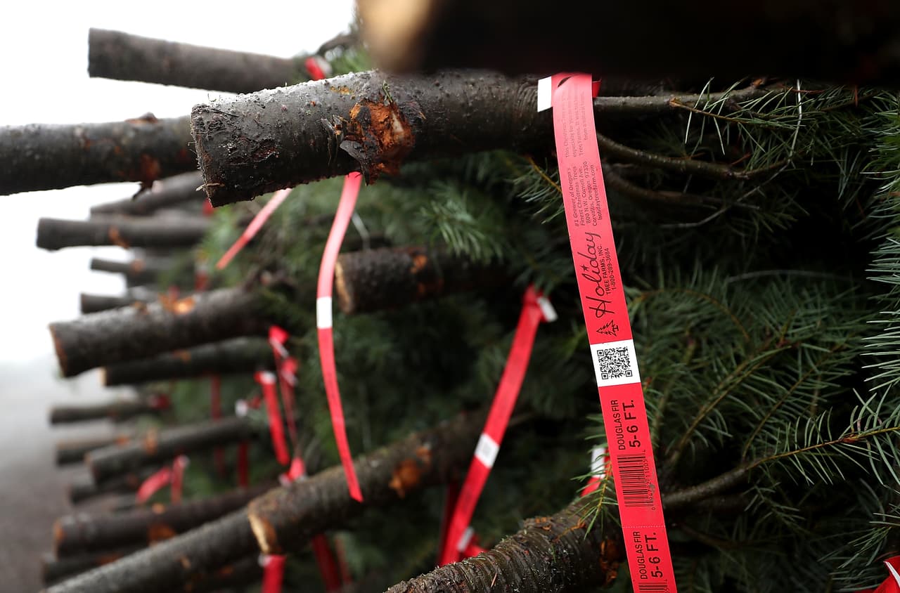 La granja Holiday Tree Farms mantiene una relación activa con la Oregon State University, que patrocina programas de investigación y administración ambiental.