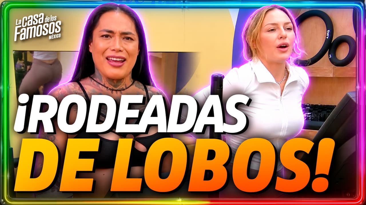 ¡RODEADAS DE LOBOS Y CON LA FINAL EN JUEGO! Gema y Karina lanzan petición.
