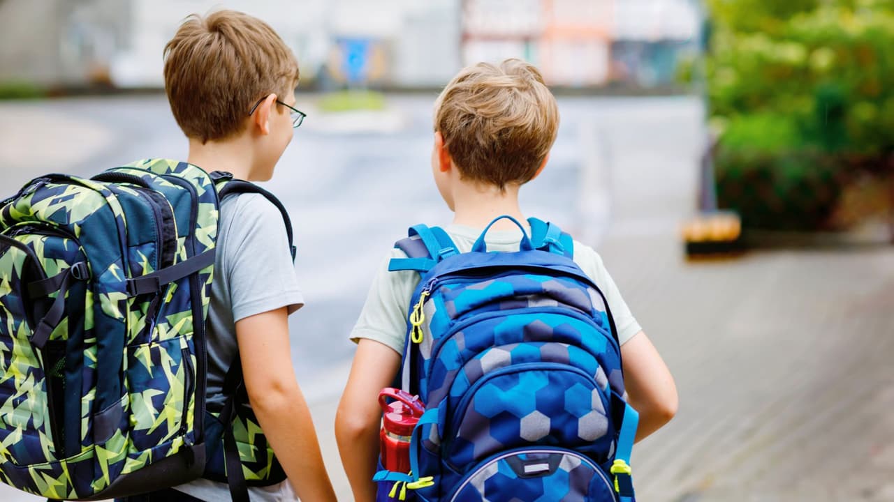 Con el regreso a clases, las autoridades hacen un llamado a la comunidad para 
<b>ser especialmente cuidadosa en las zonas escolares y respetar los límites de velocidad</b>. Aquí te dejamos 
<b>algunas recomendaciones para ayudar a prevenir accidentes y asegurar un entorno seguro para nuestros estudiantes</b>.