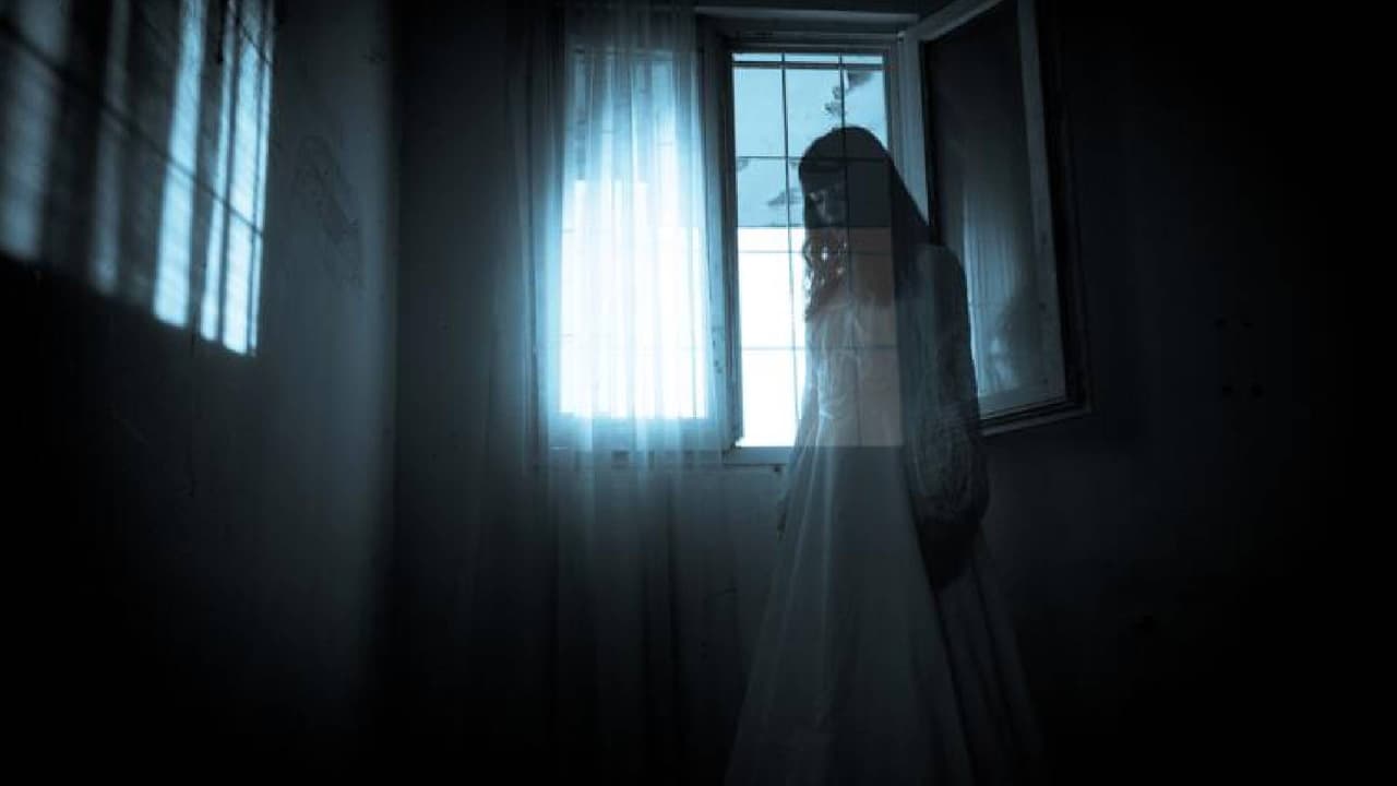 <b>Mujer en la mecedora</b>
<br>La 
<b>habitación 305 </b>es para muchos, el lugar donde más cosas paranormales suceden; numerosas personas han reportado haber visto a una mujer en la mecedora cerca de la ventana y escuchado golpes en el armario. La historia cuenta que hace años una anciana que era inquilina a largo plazo se sentaba junto a la ventana durante horas y horas.