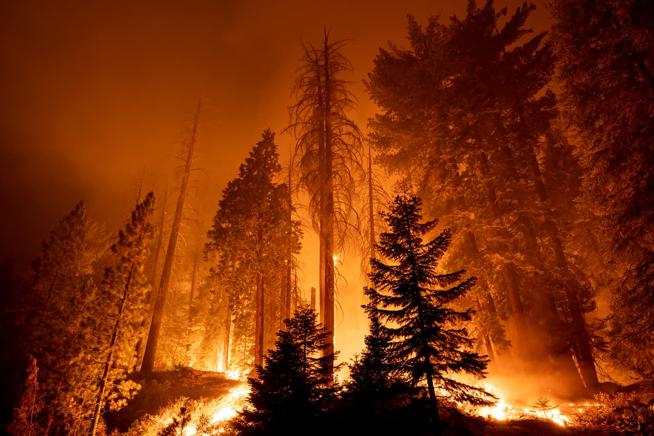 Desde el año 2000, un promedio de 70,072 incendios forestales han destruido un promedio 7.0 millones de acres en Estados Unidos. En los años noventa, la superficie que resultó devastada por este mismo motivo fue la mitad, 3.3 millones, aunque el promedio anual fue mayor: 78,600. 
<br>
<br>El Centro Nacional de Coordinación Interinstitucional (National Interagency Coordination Center, NICC, en inglés) calcula 
<a href="https://www.univision.com/noticias/medio-ambiente/muertes-clima-desastres-eeuu-2021" target="_blank">que en 2021</a> se registraron 59,000 incendios forestales que destruyeron poco más de 7.1 millones de acres. Para determinar los peores incendios en la historia de Estados Unidos, el sitio 24WallSt.com revisó los datos registrados del NICC, así como los registros anteriores. La clasificación se basa en el tamaño de estos incendios y la superficie total que alcanzaron. 
<br>