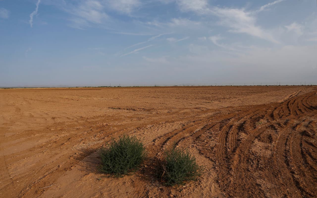 Los recortes se producen antes de lo esperado debido a que la 
<a href="https://www.univision.com/temas/sequia">sequía</a> se ha intensificado y los embalses han caído a mínimos históricos en todo el oeste. Los científicos culpan al cambio climático por las condiciones más cálidas y áridas de los últimos 30 años. Las previsiones apuntan que los cortes de agua en el río Colorado afectarán a 40 millones de personas.